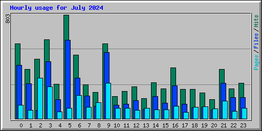 Hourly usage for July 2024