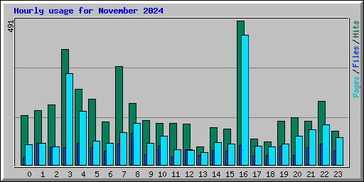 Hourly usage for November 2024