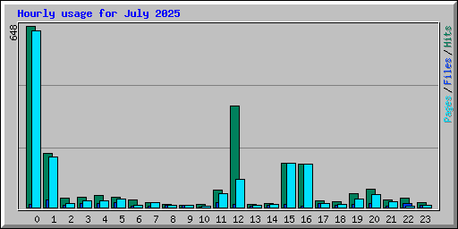 Hourly usage for July 2025