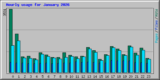 Hourly usage for January 2026