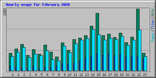 Hourly usage for February 2026