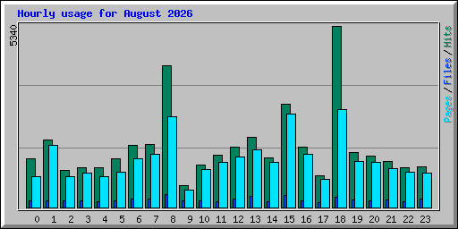 Hourly usage for August 2026