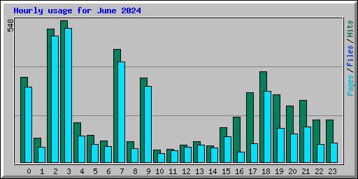 Hourly usage for June 2024