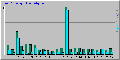 Hourly usage for July 2024