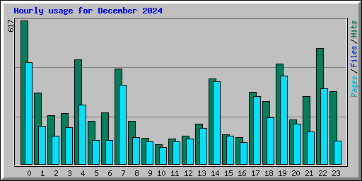 Hourly usage for December 2024