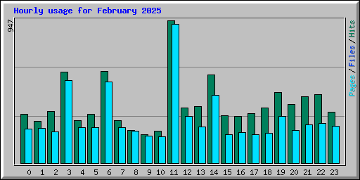 Hourly usage for February 2025