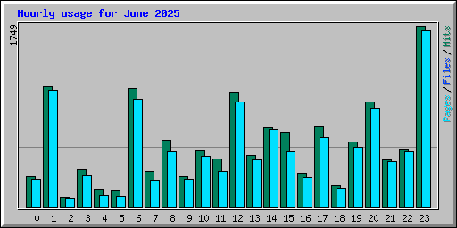 Hourly usage for June 2025