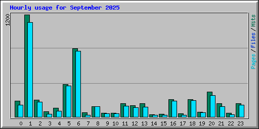 Hourly usage for September 2025