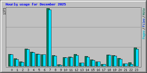 Hourly usage for December 2025