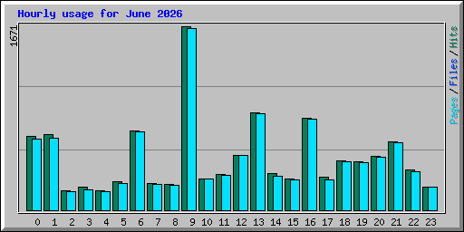 Hourly usage for June 2026
